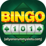 bingo 101