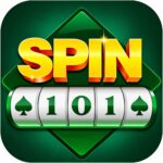 Spin 101